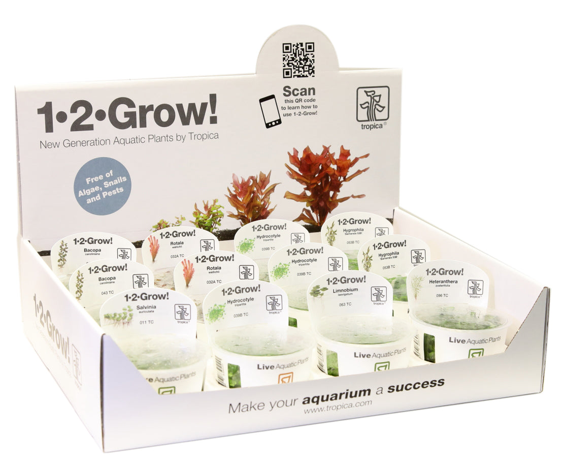 1-2-GROW! Display