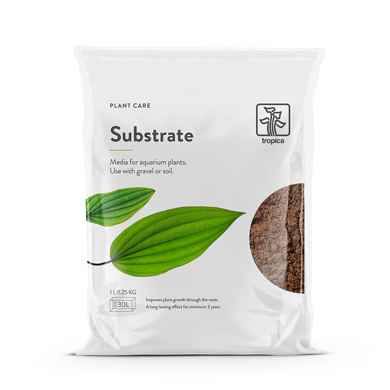 Substrate 1 L