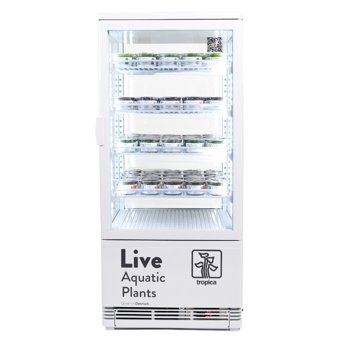 Tropica Compact Cooler