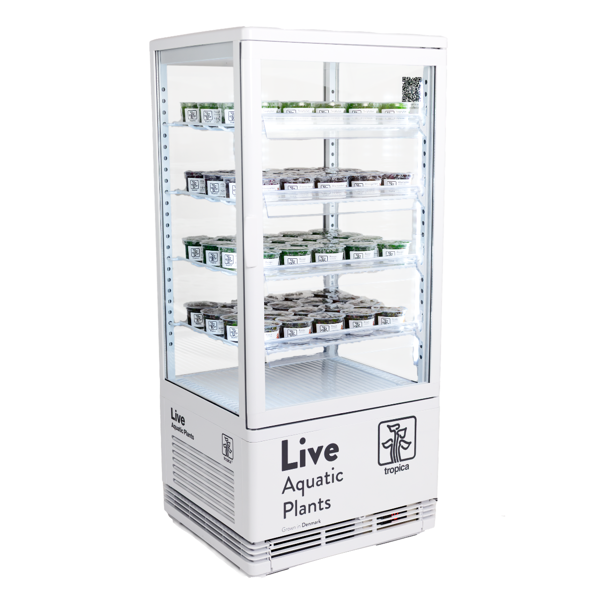 Tropica Compact Cooler