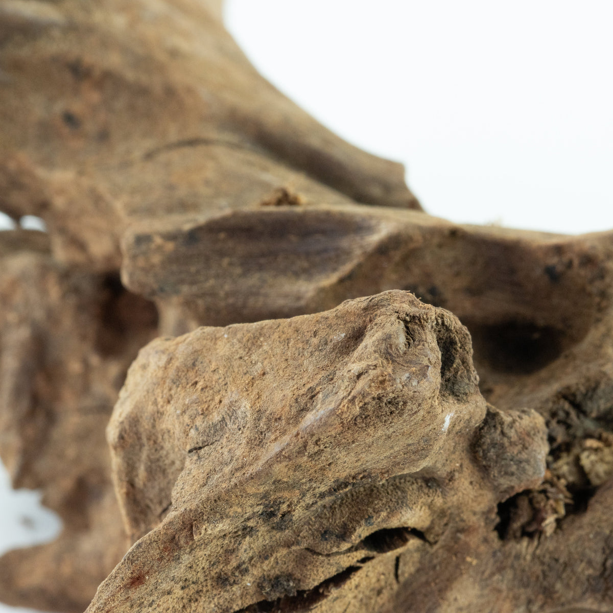Driftwood 12-20 cm